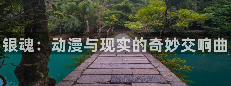 火狼动漫网动漫免费：银魂：动漫与现实的奇妙交响曲