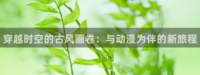 动漫火狼动漫网免费：穿越时空的古风画卷：与动漫为伴的新旅程